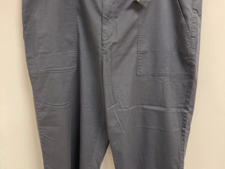 Pants Other By Terra & Sky In Grey, Size: 24 Fashion