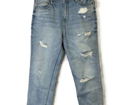 Jeans Straight By Hidden In Blue Denim, Size: 10 Online