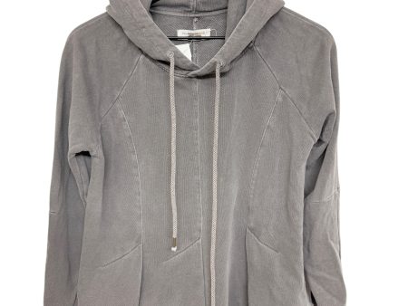 Sweatshirt Hoodie By Pilcro In Grey, Size: M Online