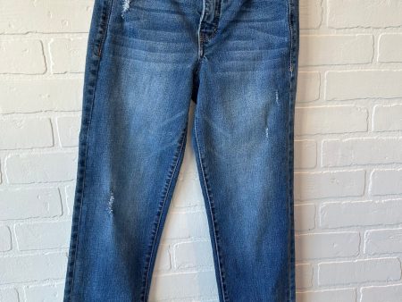 Jeans Straight By Habitual In Blue Denim, Size: 0 Fashion